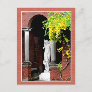 Postal Barefoot Kate