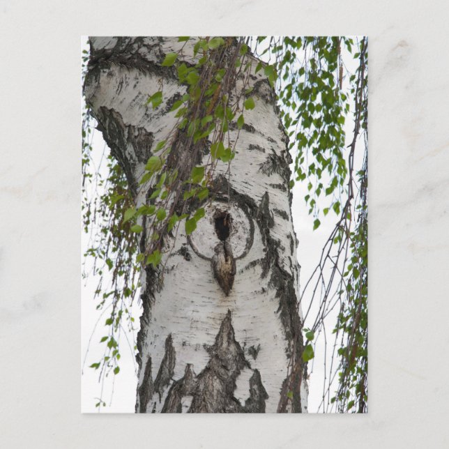 POSTAL BARK TREE (Anverso)
