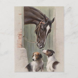 Postal Barn Buddies