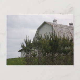 Postal Barn escondiéndose detrás de pinos