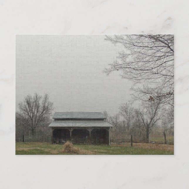 Postal Barn negro (Anverso)