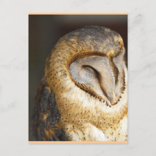Postal BARN-owl