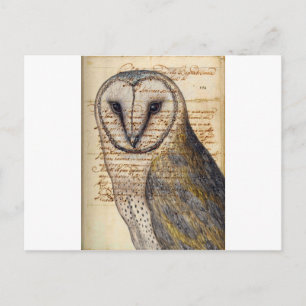 Postal Barn Owl