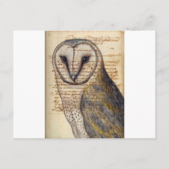Postal Barn Owl (Anverso)
