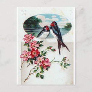 Postal Barn Trague y Flores Rosa