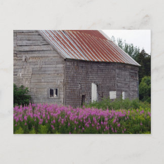 Postal Barn y flores silvestres