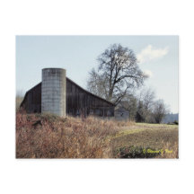 Barn y Silo - Postcard