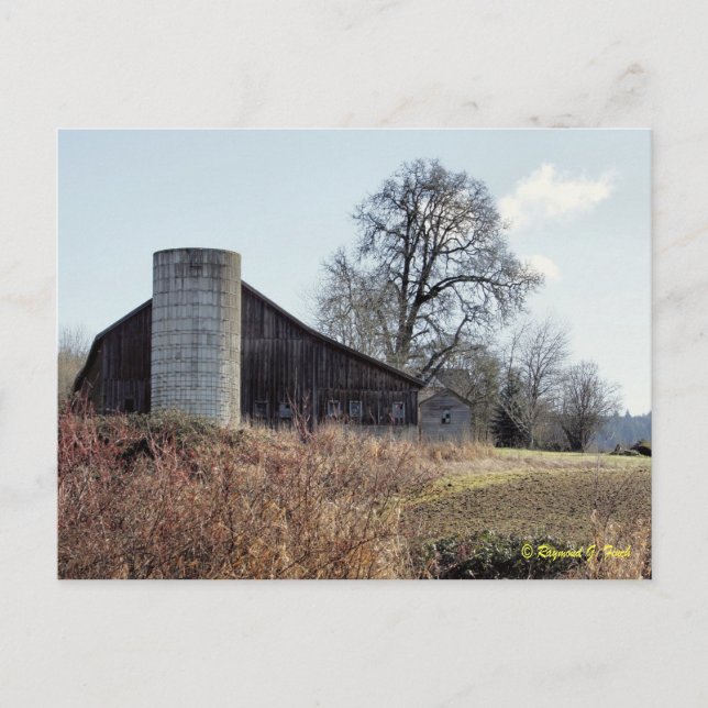 Postal Barn y Silo - Postcard (Anverso)