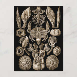 Postal Barnacles