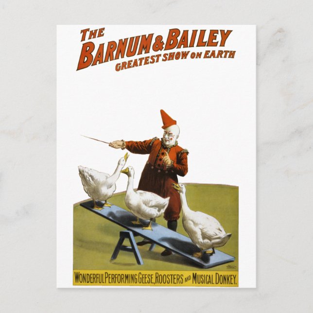 Postal Barnum y Bailey: Geese de interpretación (Anverso)