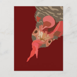 Postal Barred-Rock Hen