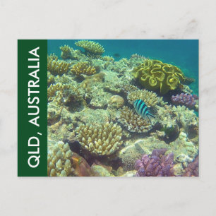 Postal barrera de coral queensland