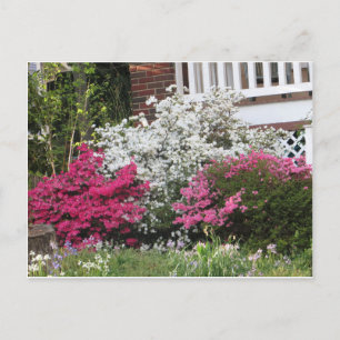 Postal Barrio de Azaleas