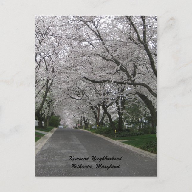 Postal Barrio de Kenwood, Bethesda, Maryland (Anverso)