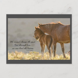 Postal Barrio de Mustangs Forever
