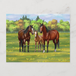 Postal Barrio Marrón De Caballos En Pasto De Verano