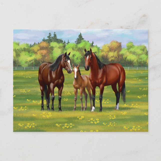 Postal Barrio Marrón De Caballos En Pasto De Verano (Anverso)