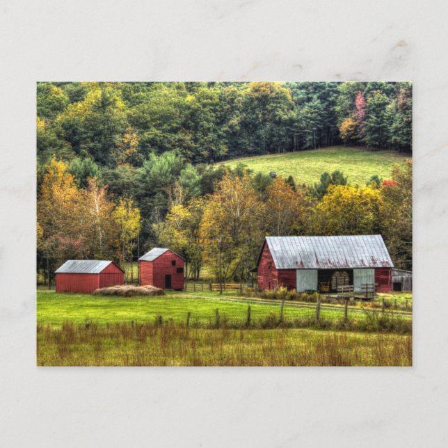 Postal Barrios rojos otoño otoño en el campo de Virginia (Anverso)