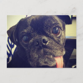 Postal Barro amasado negro