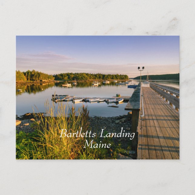 Postal Bartletts aterrizan en Maine (Anverso)