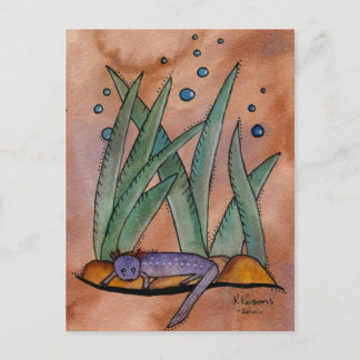 Postal Barton Springs Salamander