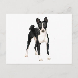 Postal Basenji (B) - negro y blanco