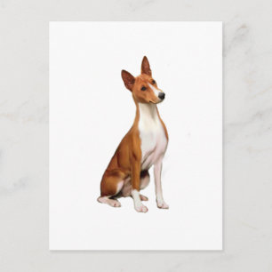 Postal Basenji (C)