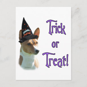 Postal Basenji Trick