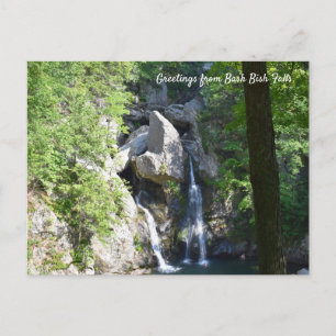 Postal Bash Bish Falls Souvenir Postcard