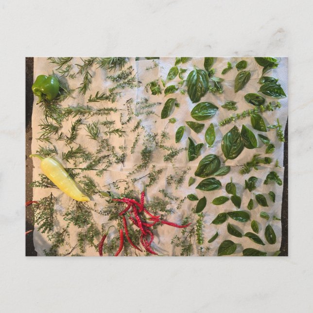 Postal Basil y Peppers (Anverso)