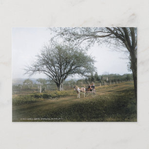 Postal Basking Ridge NJ, fuera para un Sunday Drive, Vint