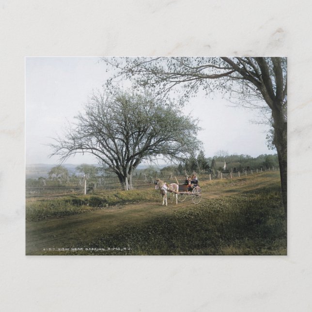 Postal Basking Ridge NJ, fuera para un Sunday Drive, Vint (Anverso)