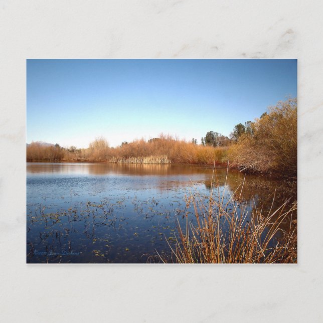 Postal Bass Pond One (Anverso)