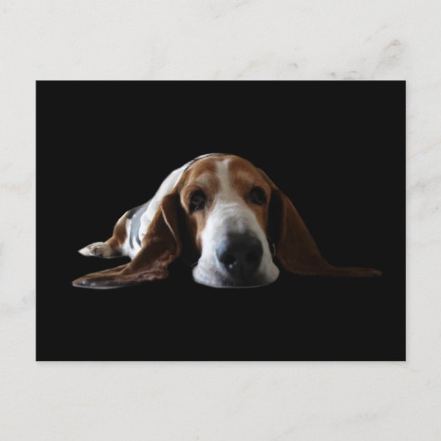 Postal Basset Hound acostado (Anverso)