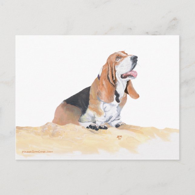 Postal Basset Hound en la Playa (Anverso)