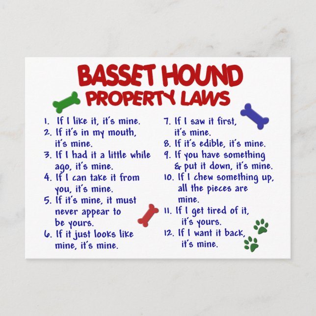 Postal BASSET HOUND Property Laws 2 (Anverso)