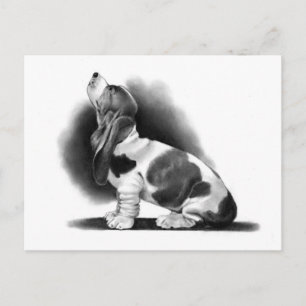 POSTAL BASSET HOUND: REALISMO PENCIL: PUPPY