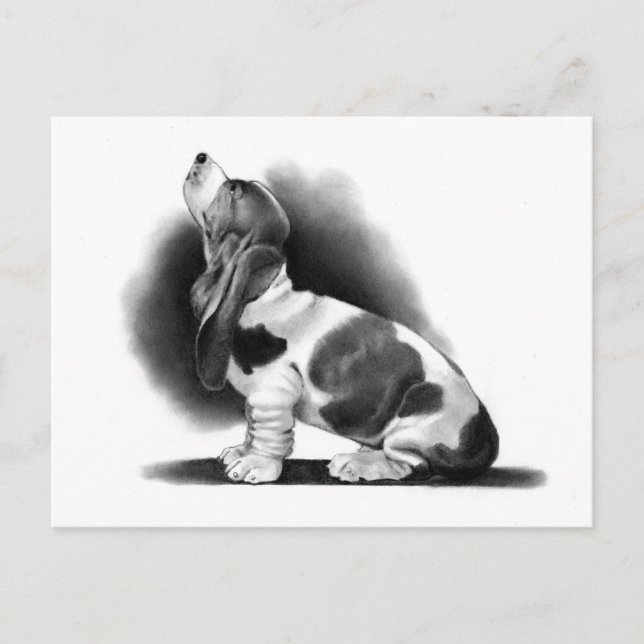 POSTAL BASSET HOUND: REALISMO PENCIL: PUPPY (Anverso)