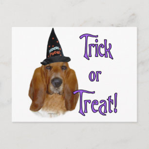 Postal Basset Hound Trick