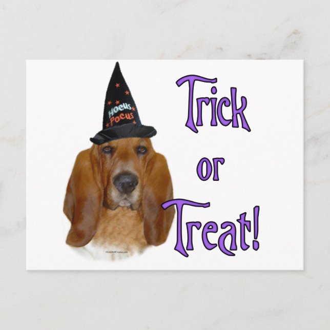 Postal Basset Hound Trick (Anverso)