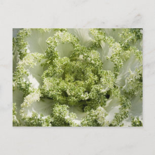 Postal Basura ornamental