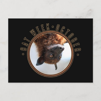 Postal Bat Week, zorro volador