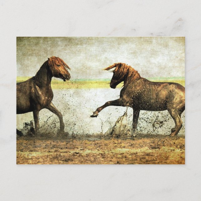 Postal Batalla de Mustang (Anverso)