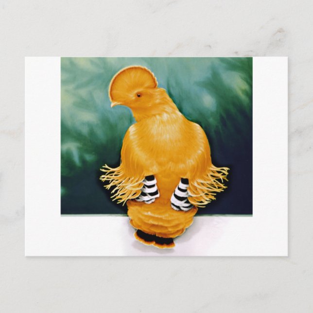 Postal Batalla de rock de Guyana (Anverso)