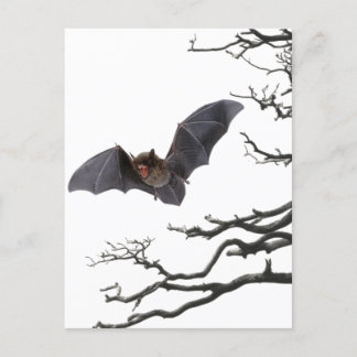 Postal Batalla de vampiros, gótica, dracula, murciélago,