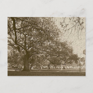 Postal Batería antigua