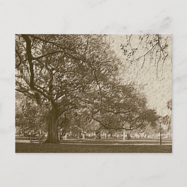 Postal Batería antigua (Anverso)