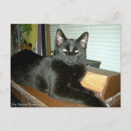 Postal Batito imperial