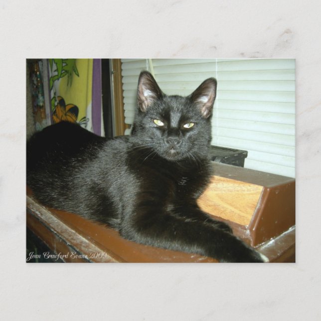 Postal Batito imperial (Anverso)