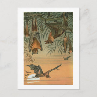 Postal Bats de frutas